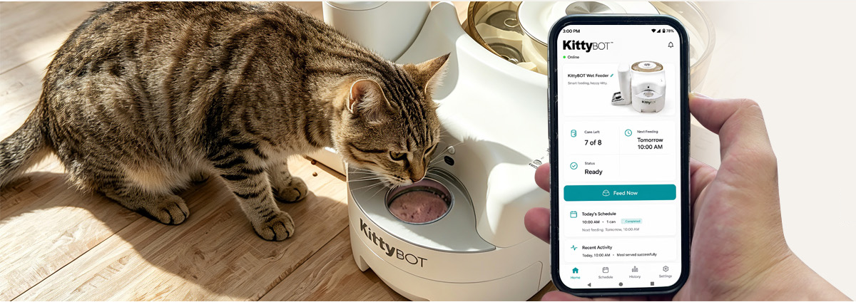 Cat eating from KittyBOT wet food feeder with companion app interface