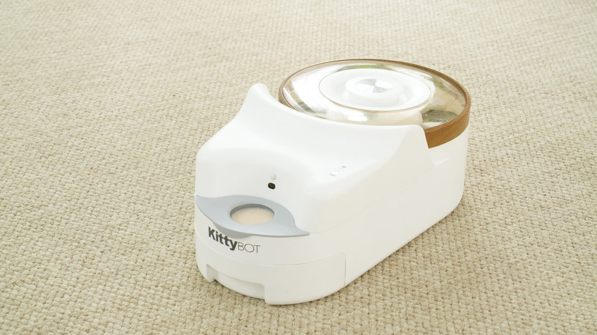 How Does an Automatic Can-Opening Cat Feeder Work