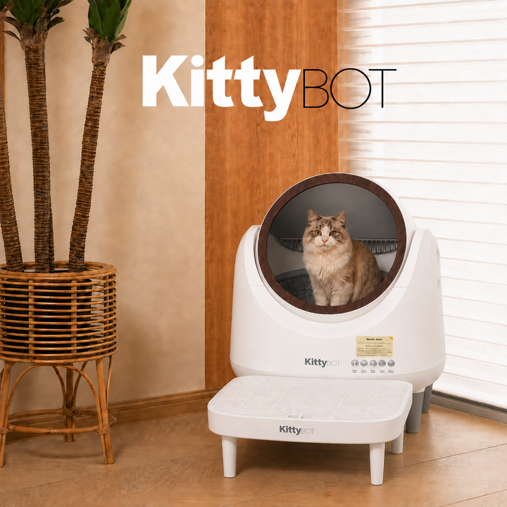 KittyBOT Litter Box + Hygiene Step Bundle