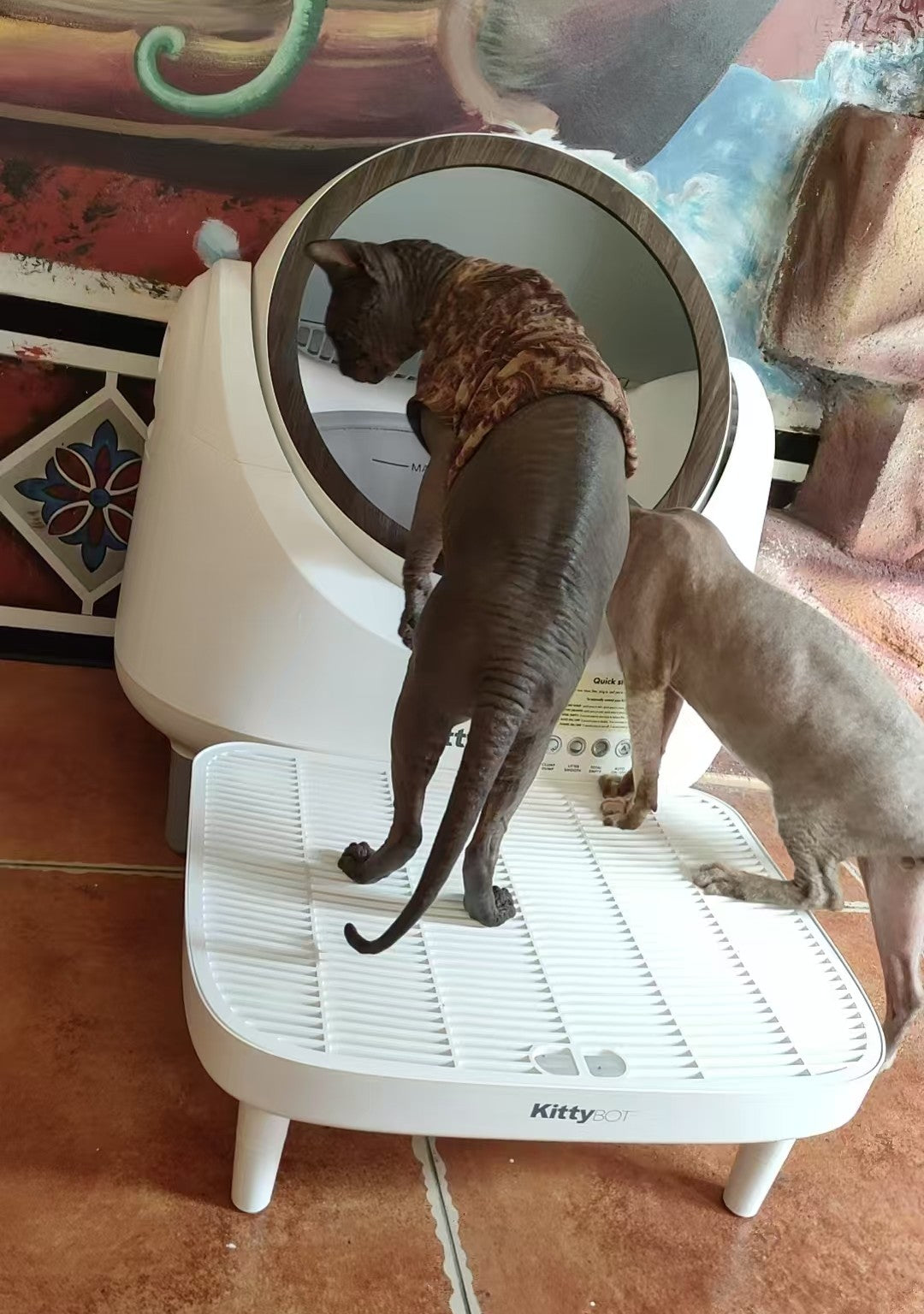 Cat near the KittyBOT Automatic Cat Litter Box in a home setting