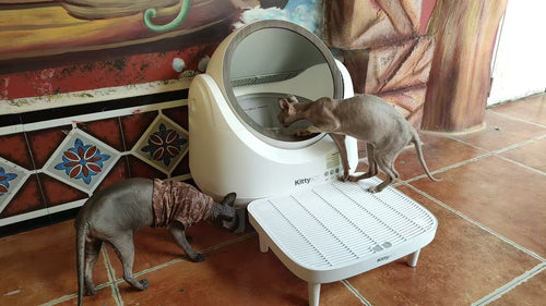 KittyBOT Hygiene Step for Automatic Cat Litter Box