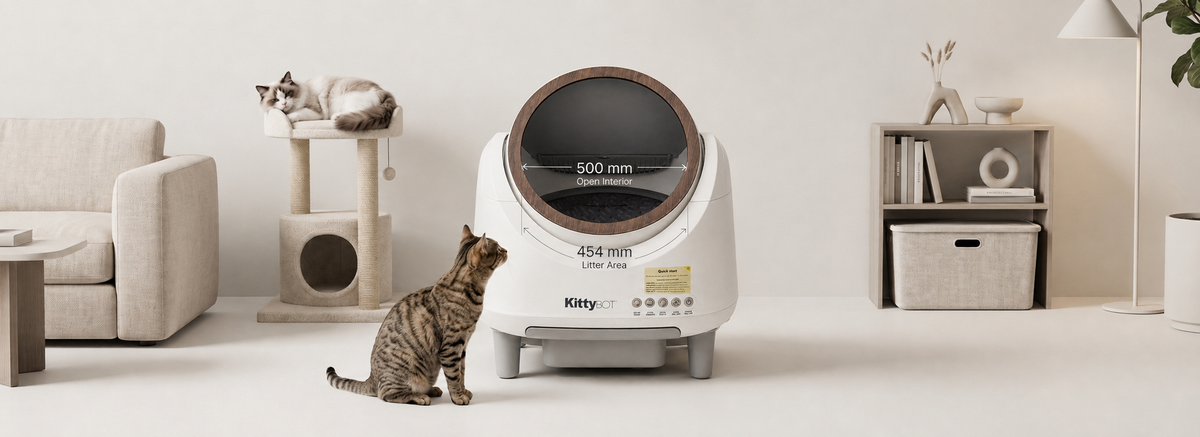 KittyBOT spacious open interior