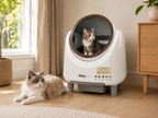 KittyBOT Automatic Cat Litter Box