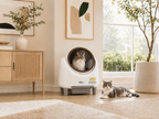 KittyBOT Automatic Cat Litter Box