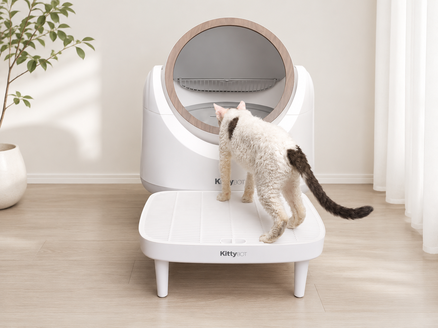 KittyBOT Hygiene Step for Automatic Cat Litter Box