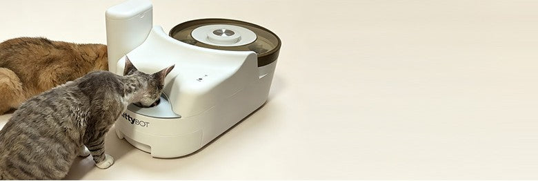 KittyBOT automatic canned wet food feeder serving a cat directly from the original can